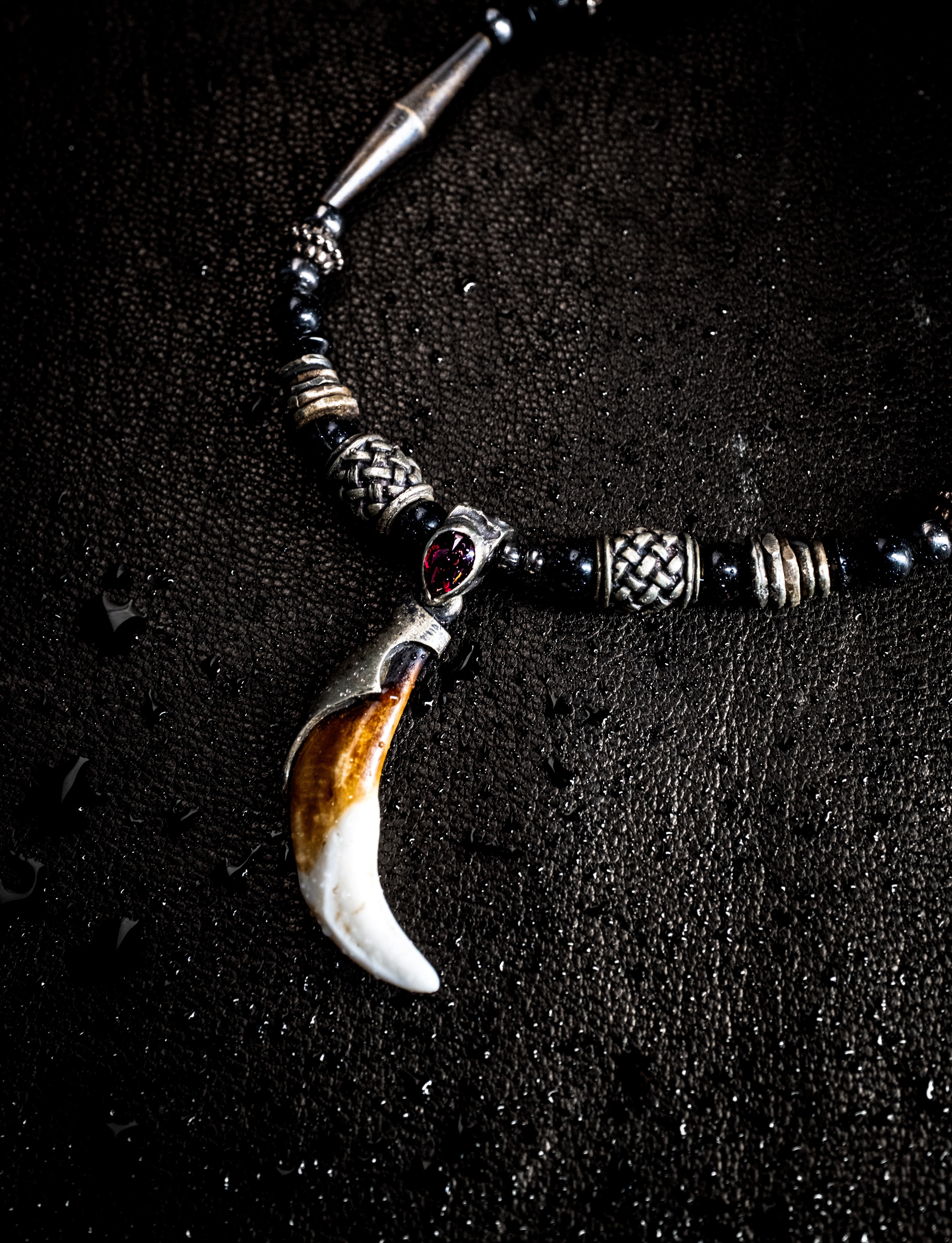 Real de Catorce: Coyote Fang 02